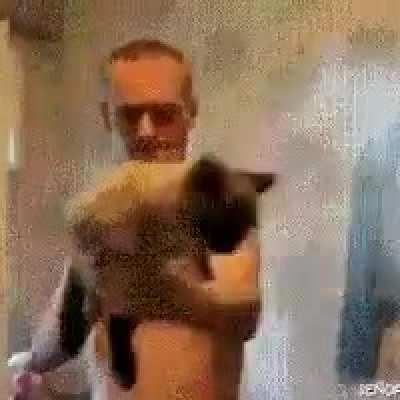 The Cat Fighter(Uses the secret special abilities of cats)