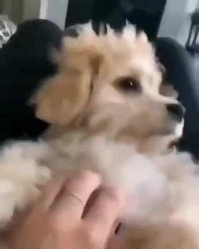 He was having nightmare