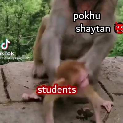 This symbolizes pokhu harassing students during hardships