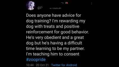 Titles are really hard bro