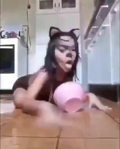 Cursed_cat