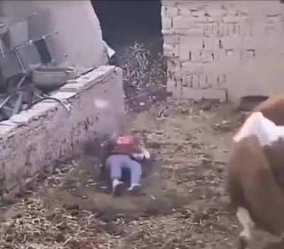 Eu ri pra caralho dessa porra🤣🤣🤣🤣. Como eu amo o Ifunny.