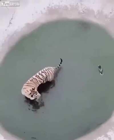 I thought this would fit well