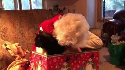 Grandma gets a pretty, dark present.