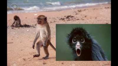 moemintairy blis s by grillaz (lyricks)