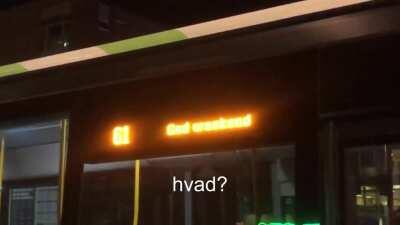 hvad?1?!?1