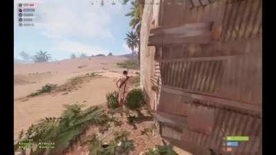 Out all my 2567 hours on rust this probably takes the cake.