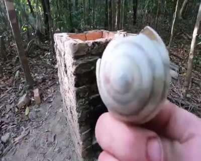 create a pot with wood ash (Primitive Technology)