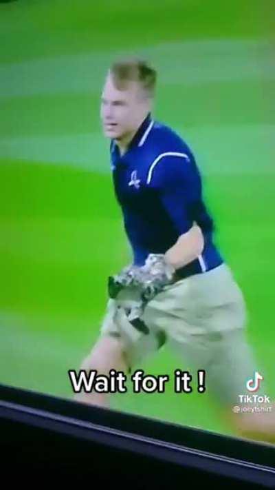 Illegally Smol cat escaped prison and was caught on nation wide TV