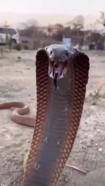 To intimidate this man 