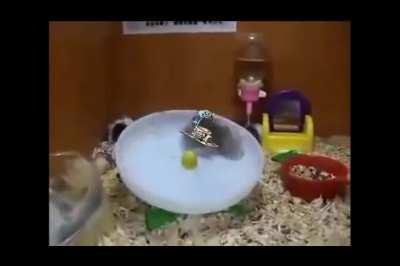 They became one with the spin