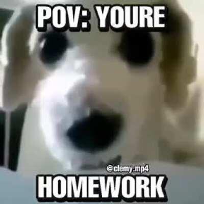 What is up drama alert nation