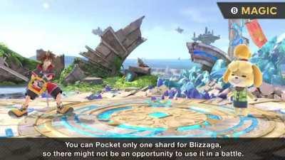 Sora joins the battle!