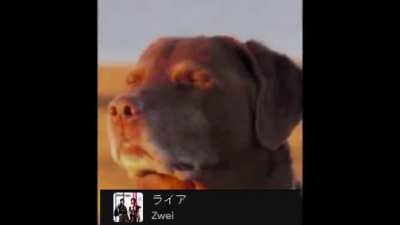 My Steins;Gate Ost order in Spotify