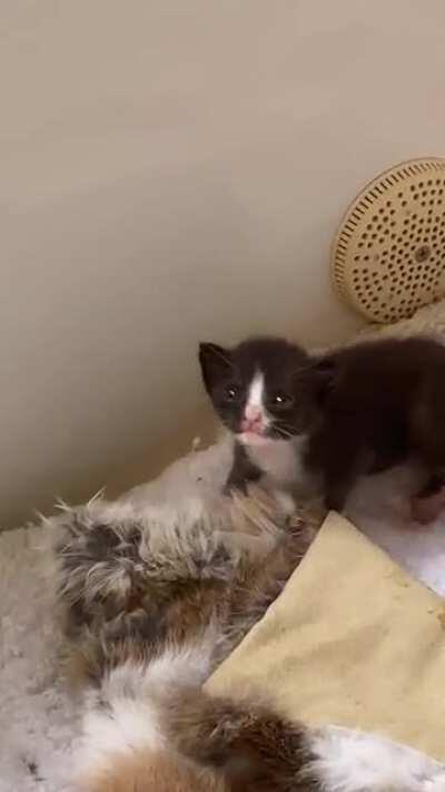 Listen I’m just a babie