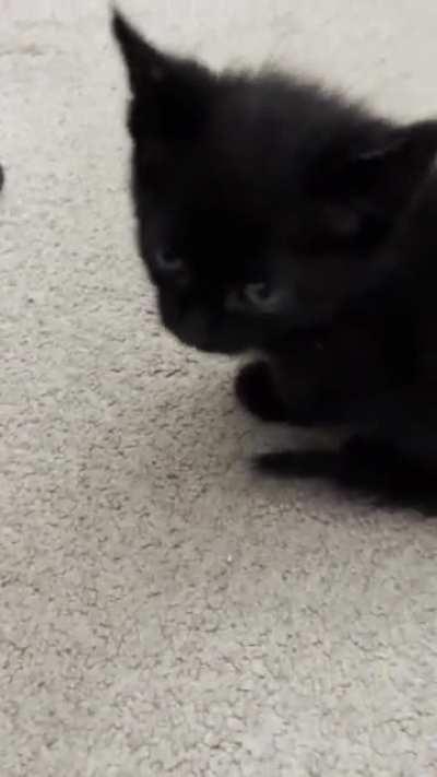 She moved in 6 days ago and already thinks she owns the place