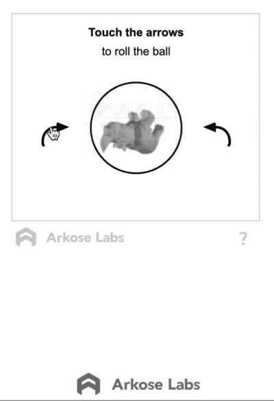 How to design a bot detection system that humans can not beat, Arkose Labs
