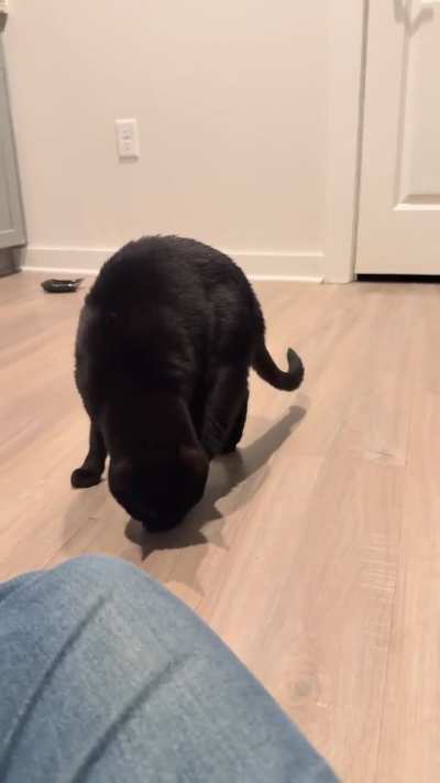 My pretty little lady