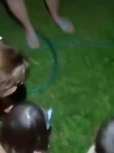 Best princess and the frog experience