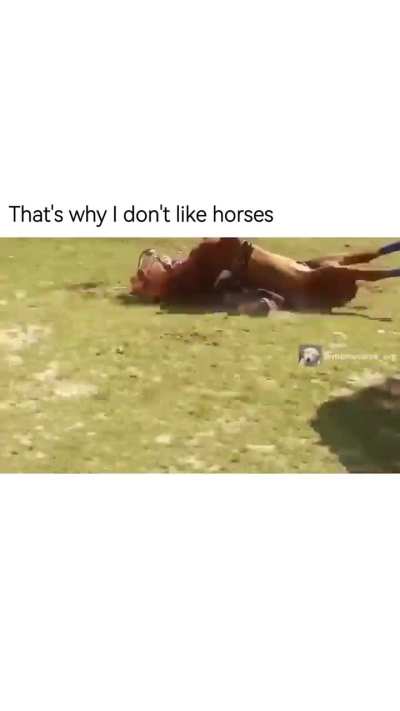 His name is John Cena!
