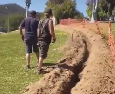 they work hard to free the kangaroo from the ditch and then...