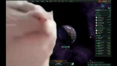 Cat vibing to Relic World sounds