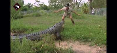 How this new update got me feeling (I wish she would actually come out of the water)