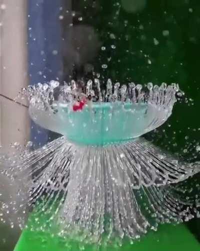 Water flower effect