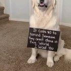 Hi. This is Watson. And he's got something important to tell you.