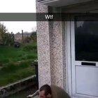 Драккарис, епта!