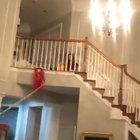 all that time it took to setup, almost gets ruined by the cat