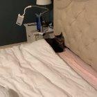 he made a very good point