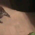 There can only be one.