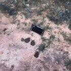 what are they doing... (my edit)