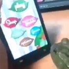 You fool me I bite you