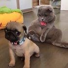 “He’s behind me, isn’t he?”