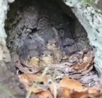 Nature is full of surprises.