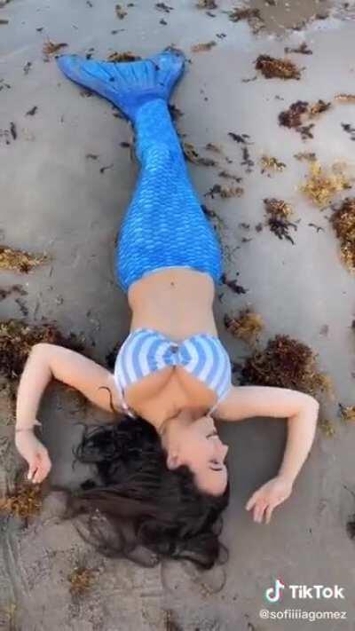 Dont you just love tits?