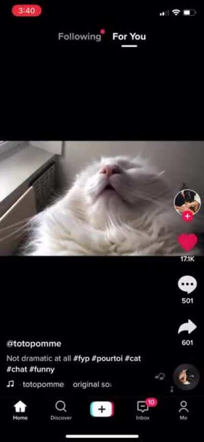 Epitome of startledness on TikTok