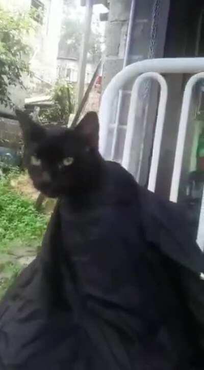 Aquele grau na cabeleira pra pegar a gata mais tarde