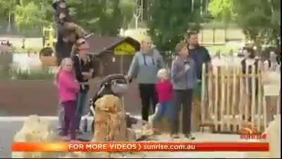 The windmill of friendship and tolerance