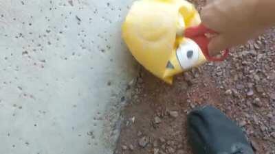 Defending our home soil against invaders like you all said