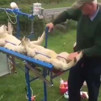 Found this video on my gallery of me and my family getting vaccinated. Good times