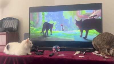 5 min into a new game 😂