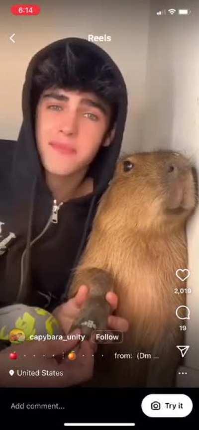 Blursed relationship