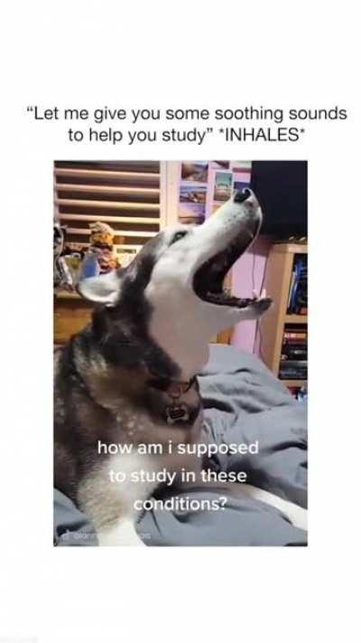 He’s giving an opera show