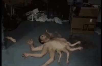 cursed_dream