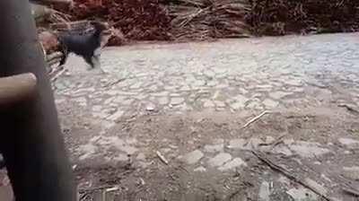 Finally it was done!!