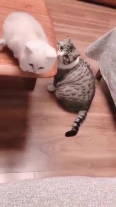 I appear to be in a predicament...