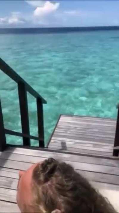 Holiday Video From The Maldives